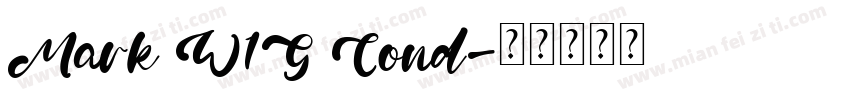 Mark W1G Cond字体转换